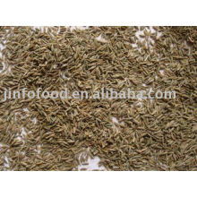 Cumin Seed(crop 2010)